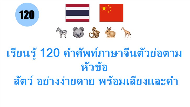 เรียนรู้ 120 คำศัพท์ภาษาจีนตัวย่อตามหัวข้อ: สัตว์ อย่างง่ายดาย พร้อมเสียงและคำอธิบาย